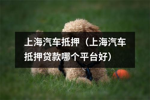 上海汽车抵押（上海汽车抵押贷款哪个平台好）