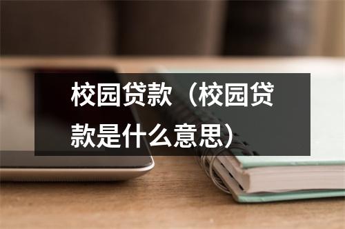 校园贷款(校园贷款是什么意思)