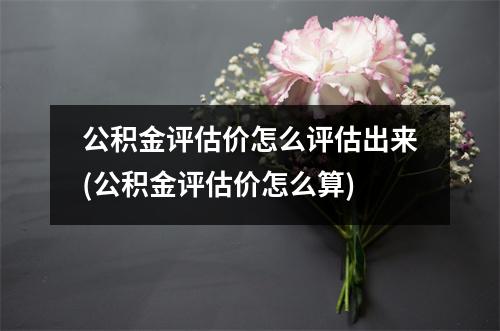 公积金评估价怎么评估出来(公积金评估价怎么算)