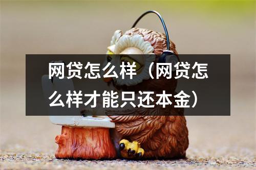 网贷怎么样（网贷怎么样才能只还本金）