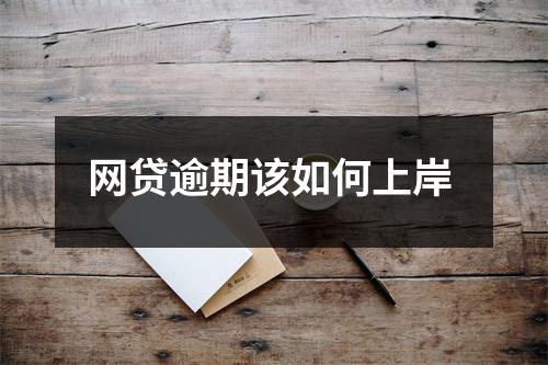 网贷逾期该如何上岸 