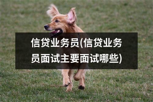 信贷业务员(信贷业务员面试主要面试哪些)