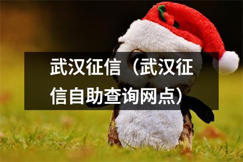 武汉征信（武汉征信自助查询网点）