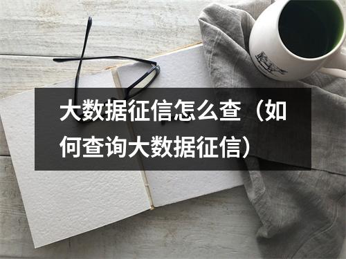 大数据征信怎么查（如何查询大数据征信）