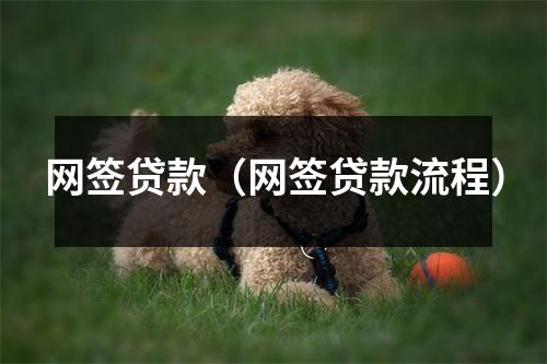 网签贷款（网签贷款流程）