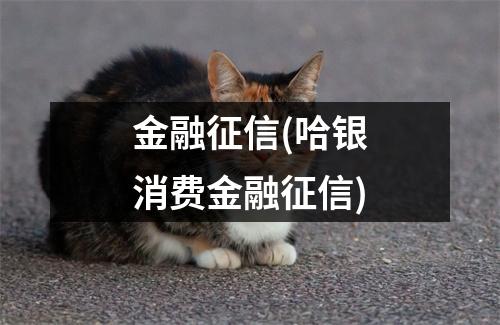 金融征信(哈银消费金融征信)