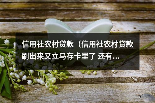 信用社农村贷款（信用社农村贷款刷出来又立马存卡里了 还有利息吗）