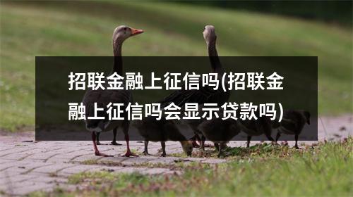 招联金融上征信吗(招联金融上征信吗会显示贷款吗)