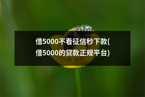 借5000不看征信秒下款(借5000的贷款正规平台)