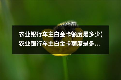农业银行车主白金卡额度是多少(农业银行车主白金卡额度是多少钱)