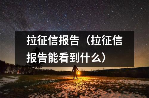 拉征信报告（拉征信报告能看到什么）