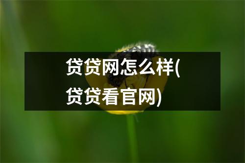 贷贷网怎么样(贷贷看官网)