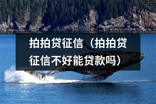 拍拍贷征信（拍拍贷征信不好能贷款吗）