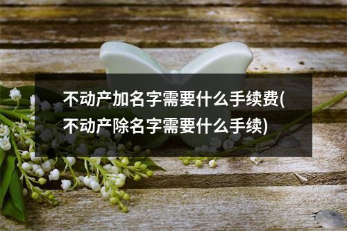 不动产加名字需要什么手续费(不动产除名字需要什么手续)