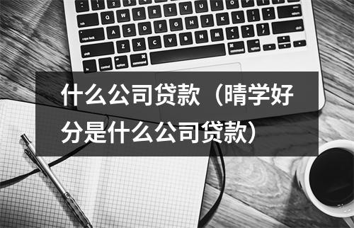 什么公司贷款(晴学好分是什么公司贷款)
