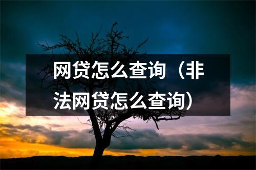 网贷怎么查询（非法网贷怎么查询）
