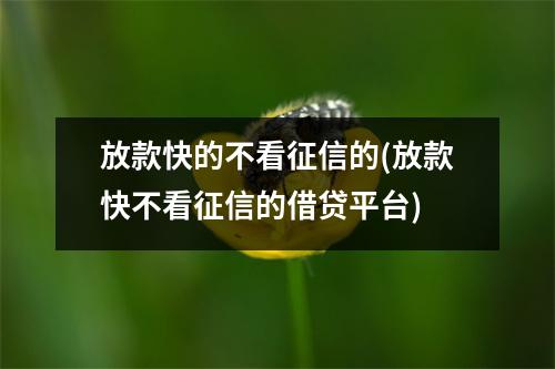 放款快的不看征信的(放款快不看征信的借贷平台)