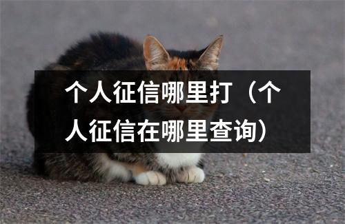 个人征信哪里打（个人征信在哪里查询）