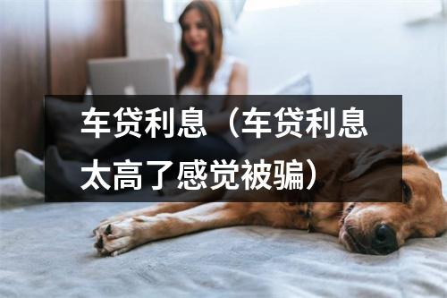 车贷利息（车贷利息太高了感觉被骗）