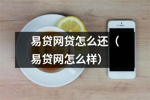 易贷网贷怎么还（易贷网怎么样）