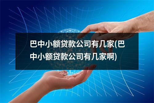 巴中小额贷款公司有几家(巴中小额贷款公司有几家啊)
