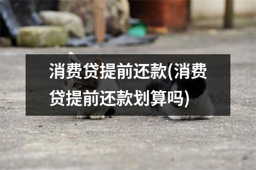 消费贷提前还款(消费贷提前还款划算吗)