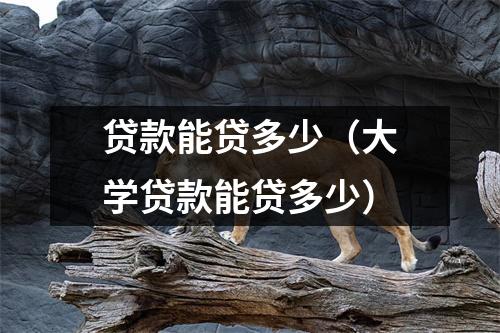 贷款能贷多少（大学贷款能贷多少）