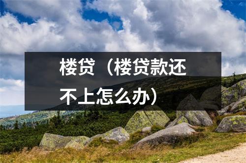 楼贷（楼贷款还不上怎么办）