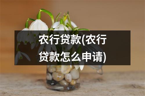 农行贷款(农行贷款怎么申请)