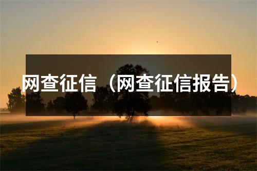 网查征信（网查征信报告）