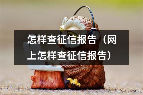 怎样查征信报告（网上怎样查征信报告）