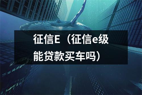 征信E（征信e级能贷款买车吗）