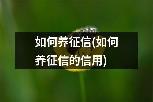 如何养征信(如何养征信的信用)