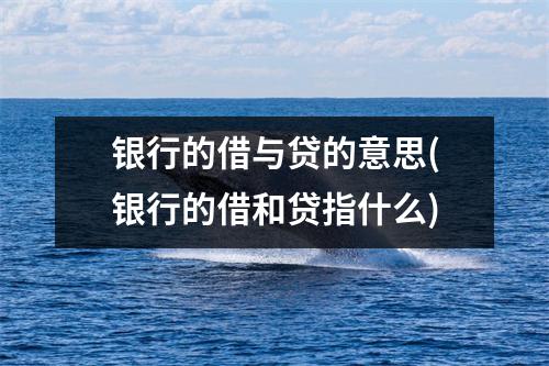 银行的借与贷的意思(银行的借和贷指什么)
