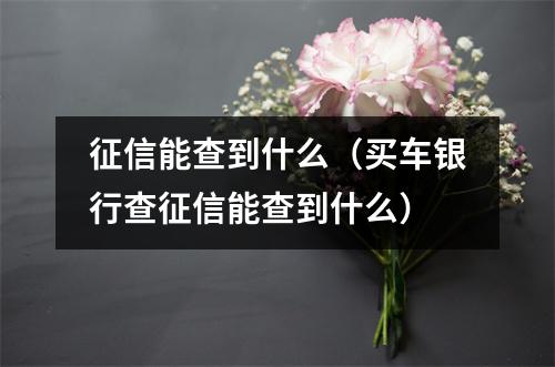 征信能查到什么（买车银行查征信能查到什么）