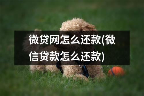微贷网怎么还款(微信贷款怎么还款)