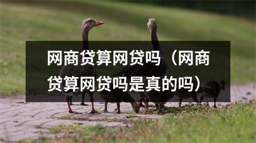网商贷算网贷吗(网商贷算网贷吗是真的吗)