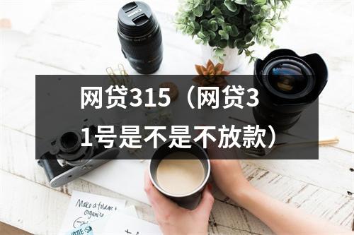 网贷315（网贷31号是不是不放款）