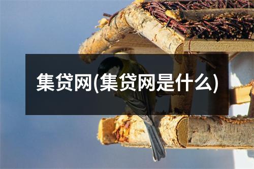 集贷网(集贷网是什么)