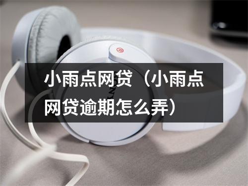 小雨点网贷（小雨点网贷逾期怎么弄）