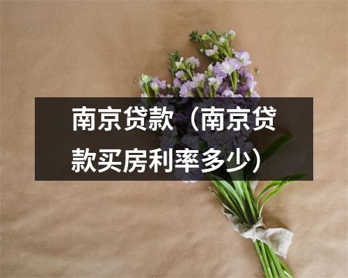 南京贷款(南京贷款买房利率多少)