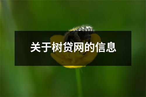 关于树贷网的信息