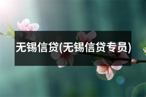 无锡信贷(无锡信贷专员)