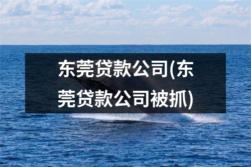东莞贷款公司(东莞贷款公司被抓)