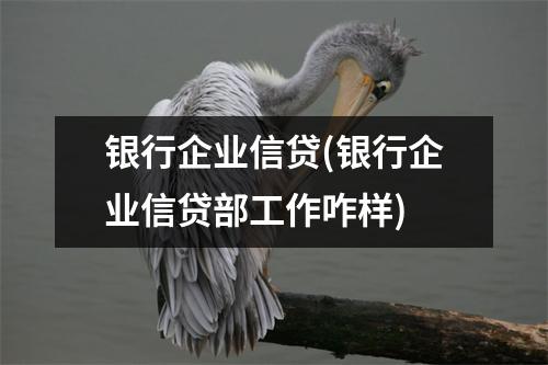 银行企业信贷(银行企业信贷部工作咋样)