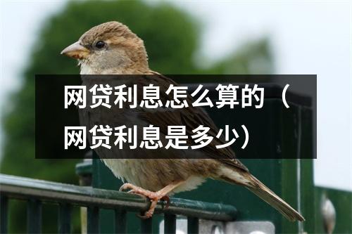 网贷利息怎么算的（网贷利息是多少）