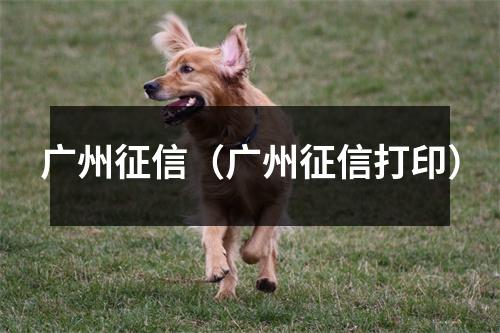 广州征信（广州征信打印）