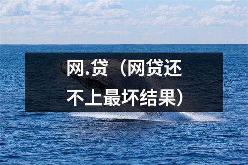 网.贷（网贷还不上最坏结果）
