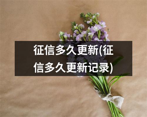 征信多久更新(征信多久更新记录)