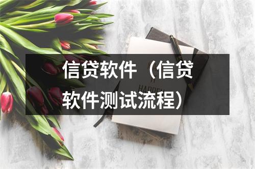 信贷软件（信贷软件测试流程）